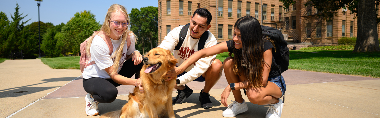 three students stop to pet animal ambassador, Bette, a golden retriever